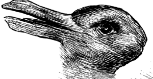 duck-or-rabbit